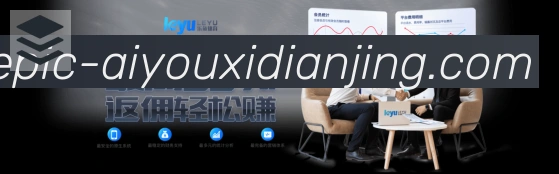 未来规划